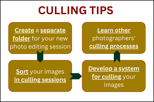 Culling tips guideline in graphic form