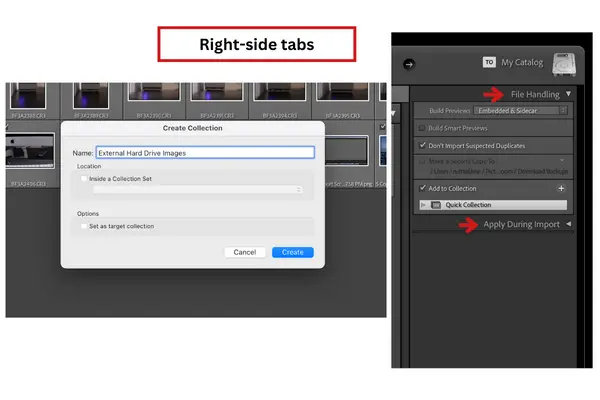 Right-side tabs in Lightroom