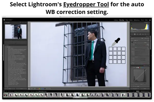 Using auto White Balance correction in Lightroom