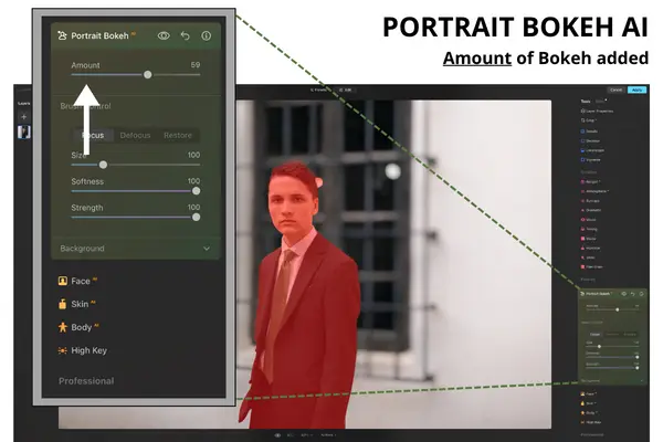 Bokeh AI Amount Slider