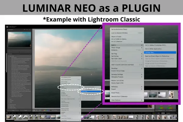 Using Luminar Neo as a plugin