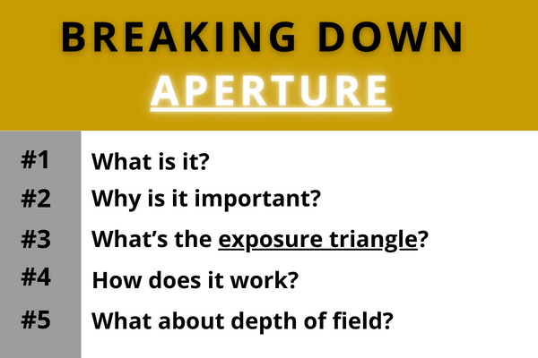 Aperture Blog breakdown of topics