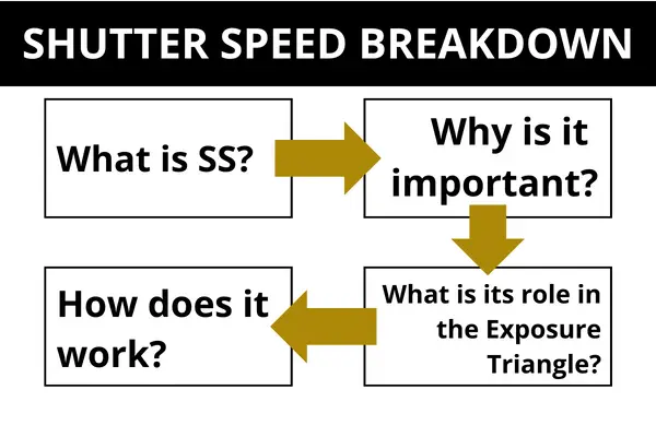 How To Understand Shutter Speed