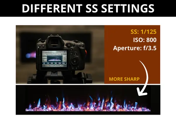 Sharp Photo Image Shutter Speed Examples