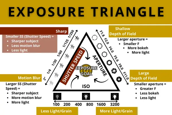 Shutter Speed In The Exposure Triangle