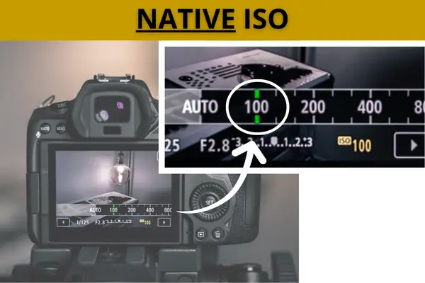 What Is Native ISO In Camera