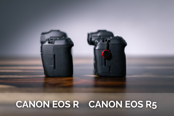 Canon EOS R Mirrorless Camera Bodies