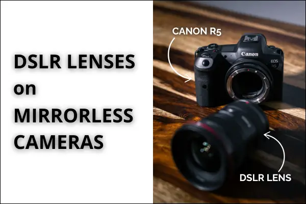 DSLR Lenses On Mirrorless Cameras Blog Post