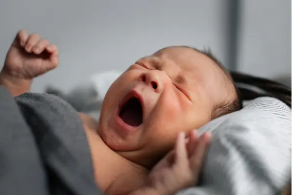 Different Angle Of Newborn In Basket Home Photo Session