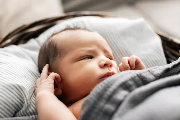 Newborn At Home Shoot In Baby Basket